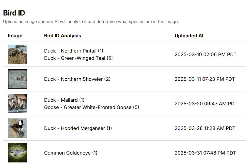 The Bird ID page listing uploaded photos alongside the species identified in each — pintail, green-winged teal, shoveler, mallard, white-fronted goose, hooded merganser and goldeneye