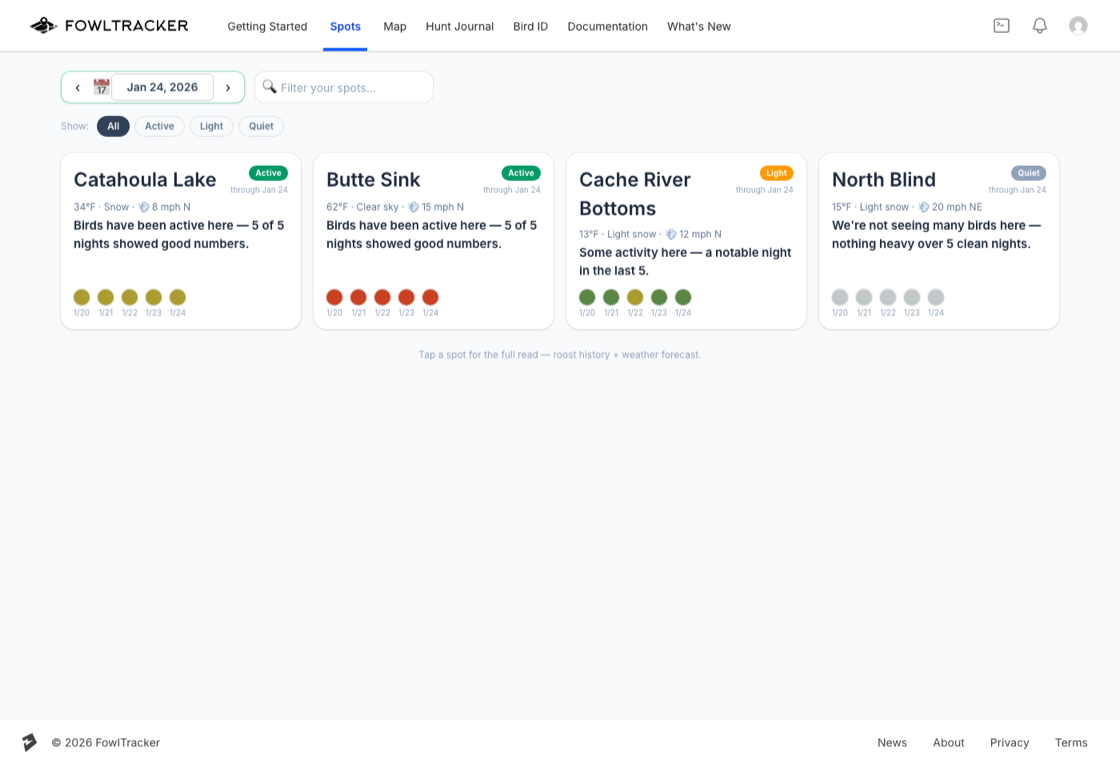 The Spots board showing four saved spots with Active, Light and Quiet verdicts